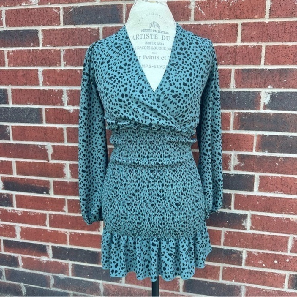 Elegant Teal Leopard Print Long Sleeve Dress  PM5